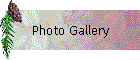 Photo Gallery